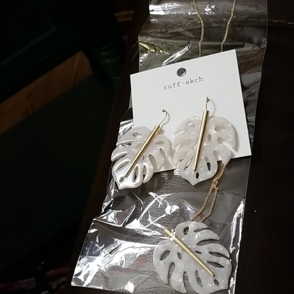 Acrylic necklace and Earrings set